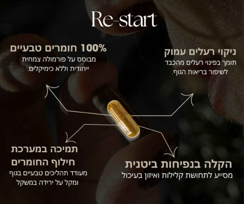 ⁦קפסולות ALIVE⁩ – תמונה ⁦2⁩